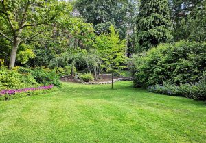 Optimiser l'expérience du jardin à Curzon